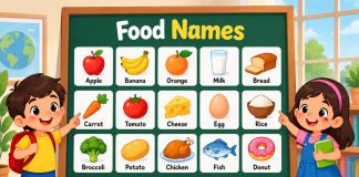 Food Names for Kids