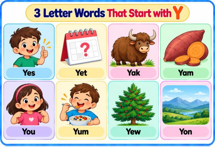 3 Letter Words That Start with Y