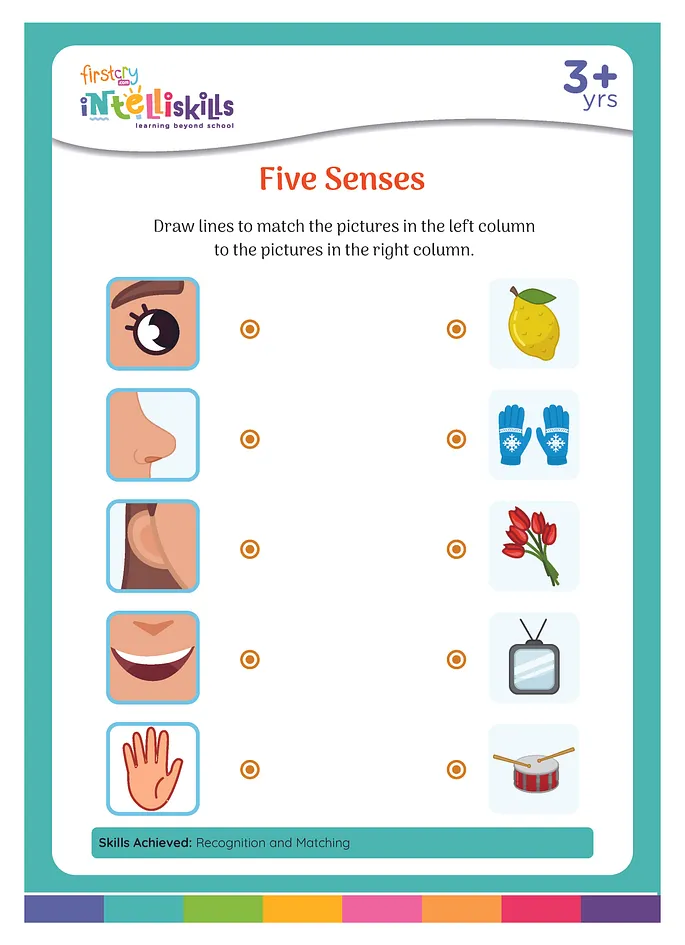 Five Senses Worksheet - Download Free & Printable PDF Worksheet at